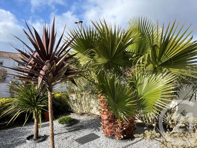 maison à vendre - 5 pièces - 118.5 m2 - LE FENOUILLER - 85 - PAYS-DE-LOIRE - Century 21 Bleu Marine