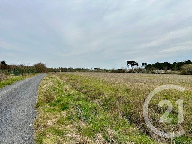terrain à vendre - 285.0 m2 - GIVRAND - 85 - PAYS-DE-LOIRE - Century 21 Bleu Marine