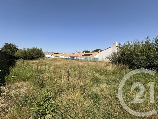 terrain - ST GILLES CROIX DE VIE - 85