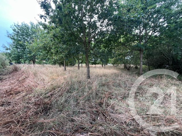 terrain à vendre - 3083.0 m2 - LE FENOUILLER - 85 - PAYS-DE-LOIRE - Century 21 Bleu Marine