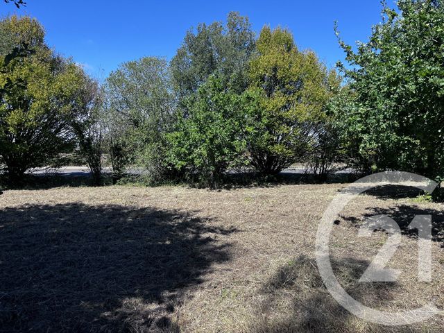 terrain à vendre - 3083.0 m2 - LE FENOUILLER - 85 - PAYS-DE-LOIRE - Century 21 Bleu Marine