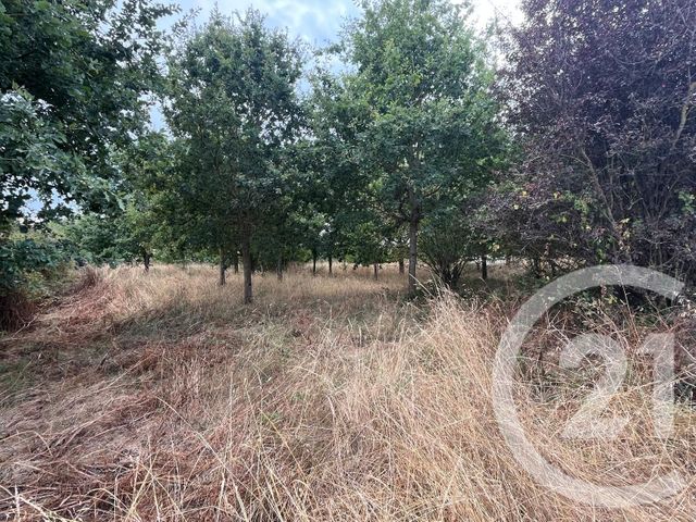 terrain à vendre - 800.0 m2 - LE FENOUILLER - 85 - PAYS-DE-LOIRE - Century 21 Bleu Marine