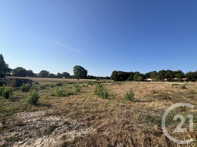 terrain à vendre - 311.0 m2 - COEX - 85 - PAYS-DE-LOIRE - Century 21 Bleu Marine