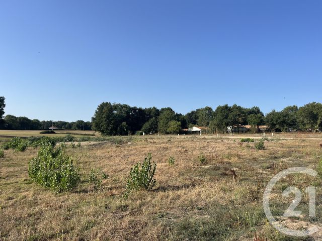 terrain à vendre - 311.0 m2 - COEX - 85 - PAYS-DE-LOIRE - Century 21 Bleu Marine