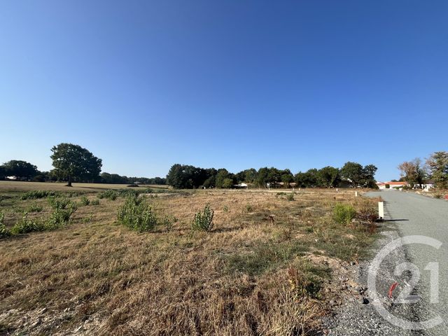 terrain à vendre - 311.0 m2 - COEX - 85 - PAYS-DE-LOIRE - Century 21 Bleu Marine
