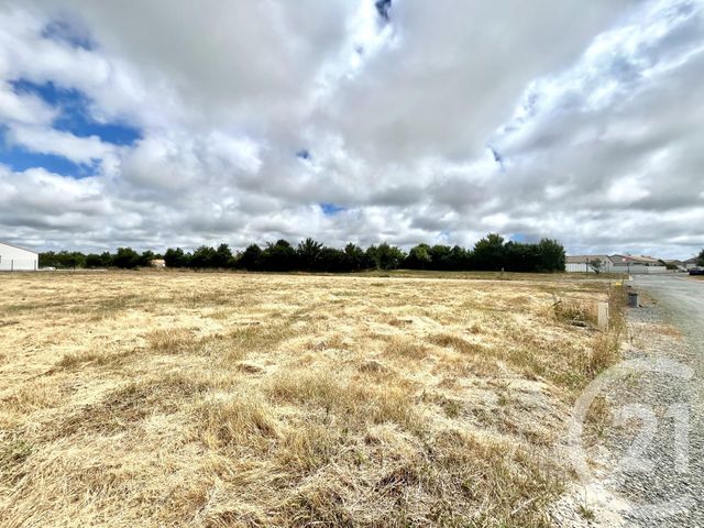 terrain à vendre - 430.0 m2 - L AIGUILLON SUR VIE - 85 - PAYS-DE-LOIRE - Century 21 Bleu Marine