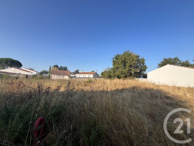 terrain - COMMEQUIERS - 85