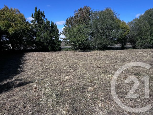 terrain - LE FENOUILLER - 85