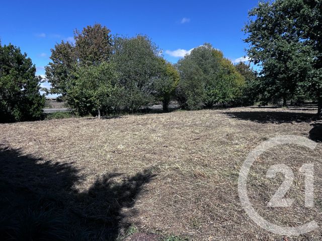 terrain à vendre - 500.0 m2 - LE FENOUILLER - 85 - PAYS-DE-LOIRE - Century 21 Bleu Marine