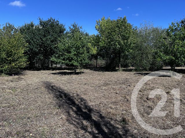 terrain à vendre - 1200.0 m2 - LE FENOUILLER - 85 - PAYS-DE-LOIRE - Century 21 Bleu Marine