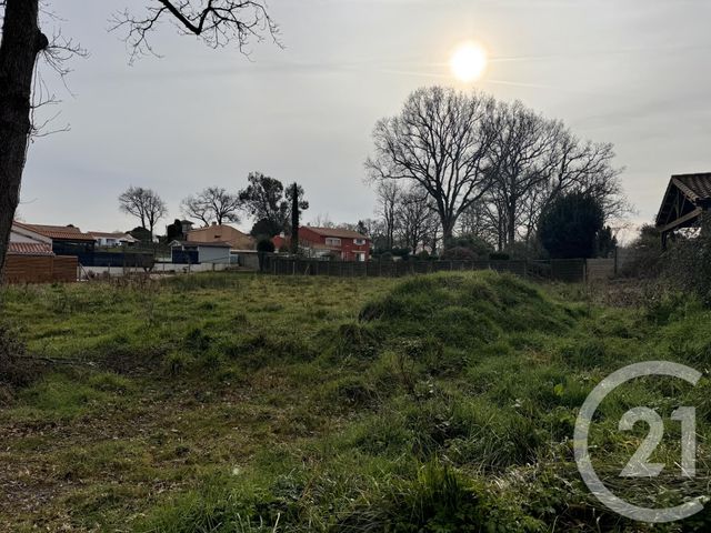 terrain - L AIGUILLON SUR VIE - 85