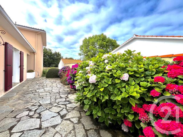 maison - LE FENOUILLER - 85