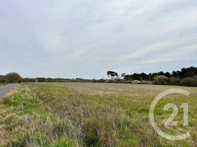 terrain à vendre - 288.0 m2 - GIVRAND - 85 - PAYS-DE-LOIRE - Century 21 Bleu Marine