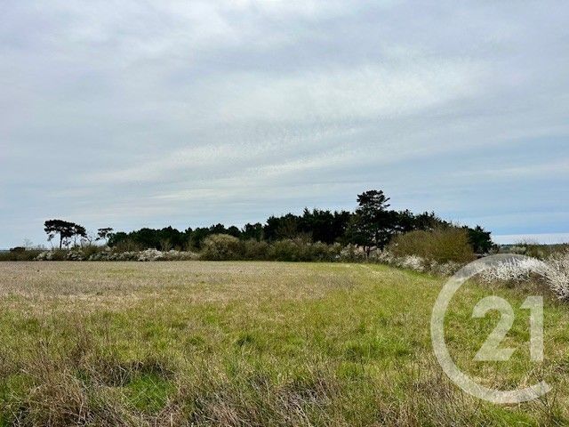 terrain à vendre - 333.0 m2 - GIVRAND - 85 - PAYS-DE-LOIRE - Century 21 Bleu Marine