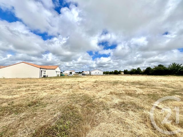terrain - L AIGUILLON SUR VIE - 85
