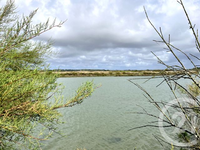 Afficher la photo en grand maison à vendre - 4 pièces - 43.55 m2 - LE FENOUILLER - 85 - PAYS-DE-LOIRE - Century 21 Bleu Marine