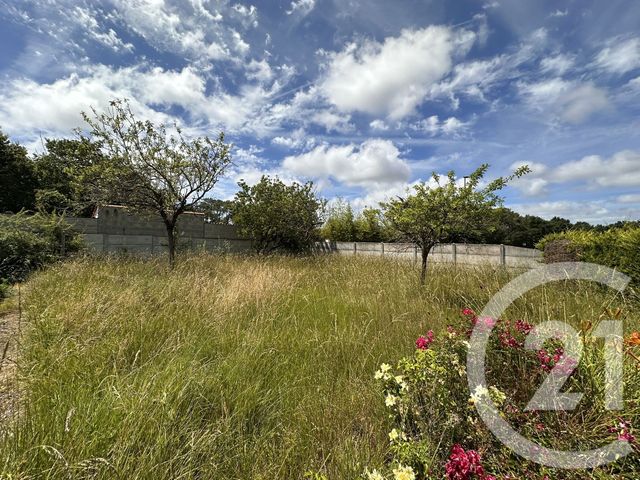 terrain à vendre - 500.0 m2 - LE FENOUILLER - 85 - PAYS-DE-LOIRE - Century 21 Bleu Marine