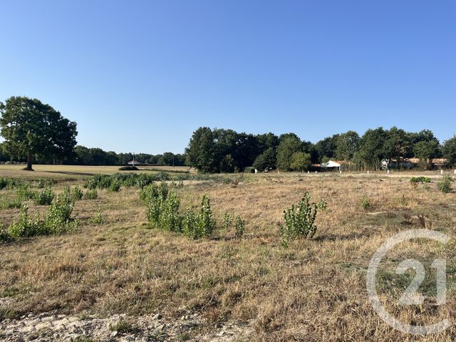 Terrain à vendre COEX